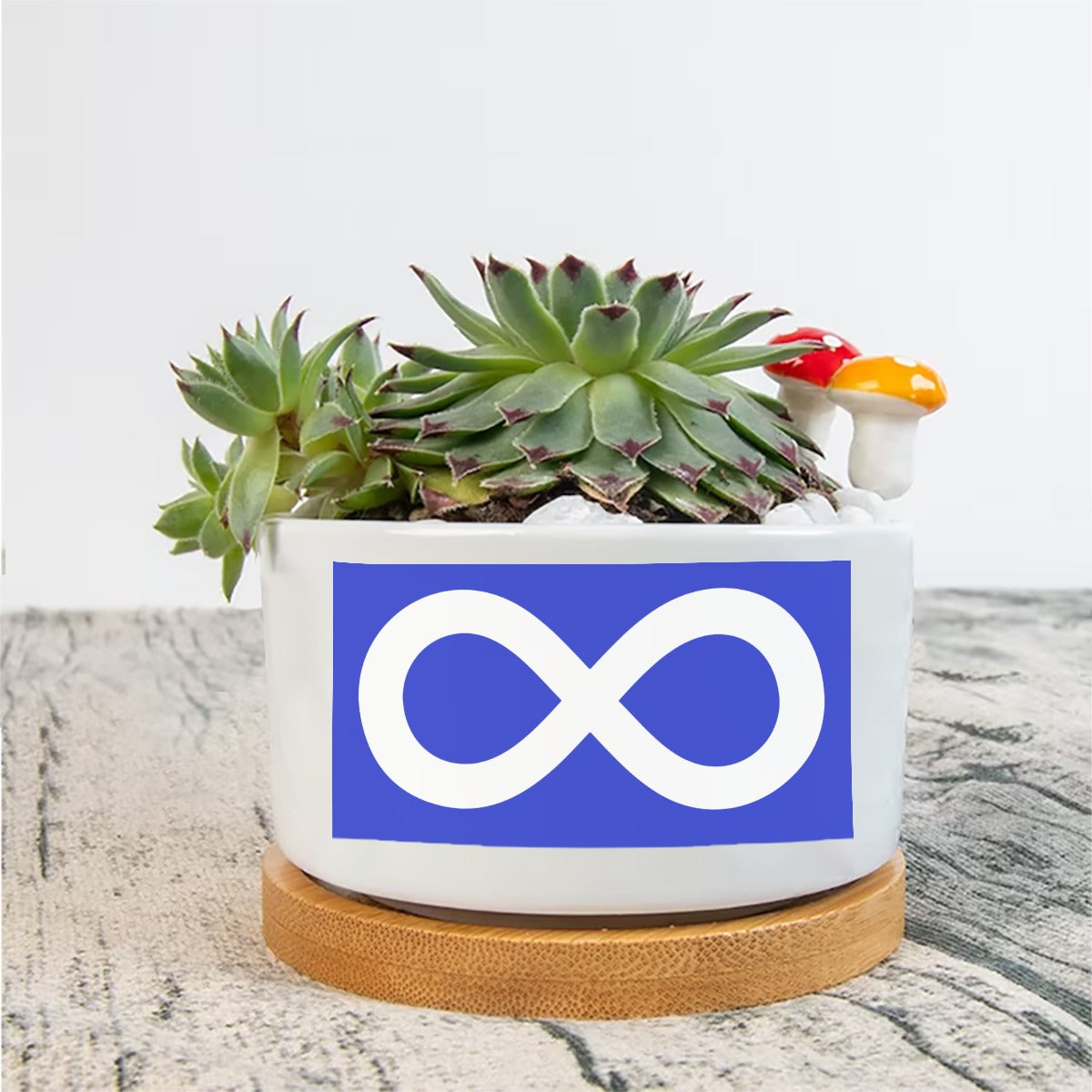 Métis Flag Flowerpot