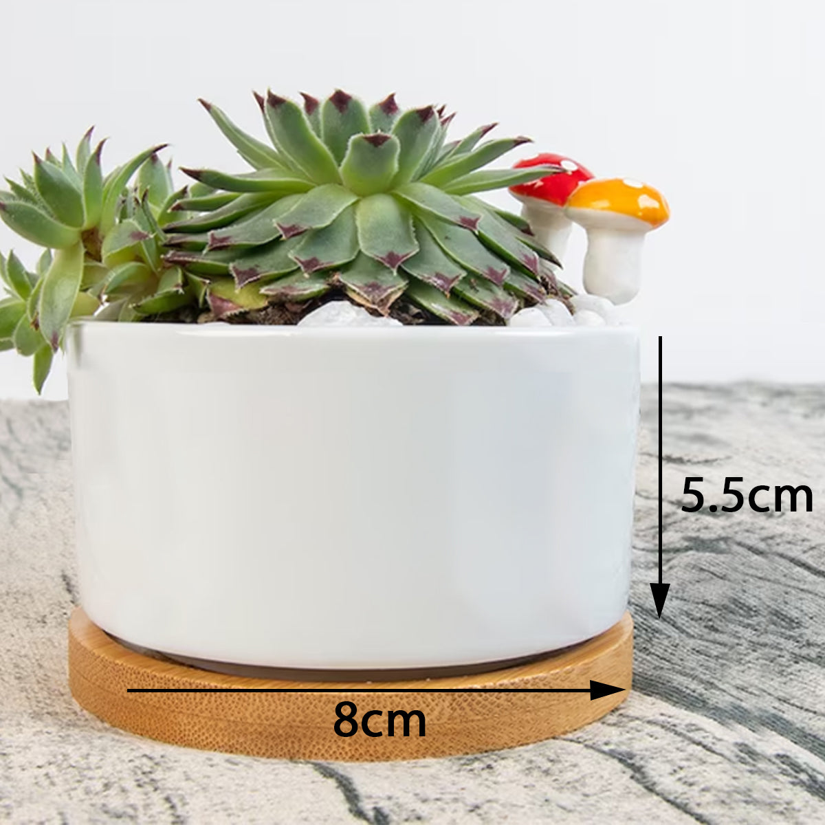 Louis Riel Quote Flowerpot